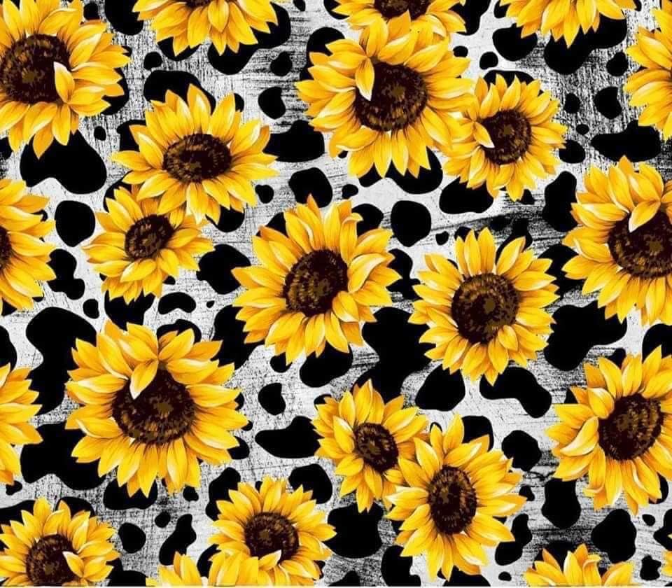 Sunflower and Cow print – Sassy Highland Boutique